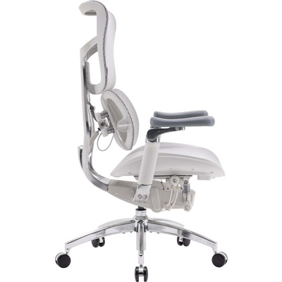 Крісло офісне Sihoo Doro S100 Mesh Black (S100-M301)