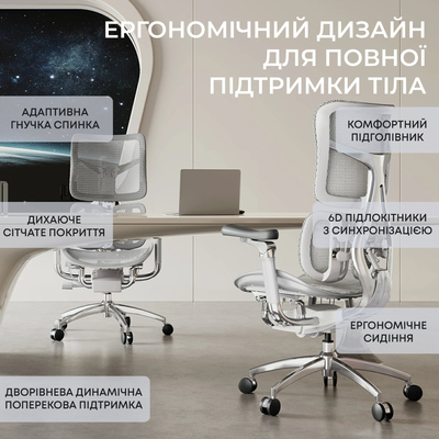 Крісло офісне Sihoo Doro S100 Mesh Black (S100-M301)