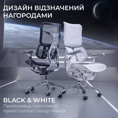 Крісло офісне Sihoo Doro S100 Mesh Black (S100-M301)