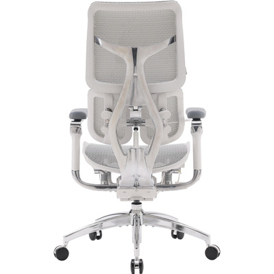 Крісло офісне Sihoo Doro S100 Mesh Black (S100-M301)