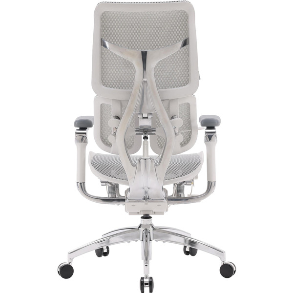 Крісло офісне Sihoo Doro S100 Mesh Black (S100-M301)