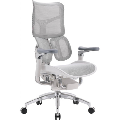 Крісло офісне Sihoo Doro S100 Mesh Black (S100-M301)