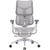 Крісло офісне Sihoo Doro S100 Mesh Black (S100-M301)