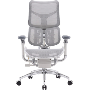 Крісло офісне Sihoo Doro S100 Mesh Black (S100-M301)