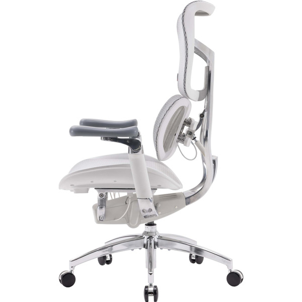 Крісло офісне Sihoo Doro S100 Mesh Black (S100-M301)