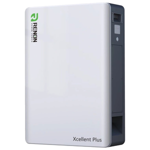 Літієва акумуляторна батарея Renon Xcellent Plus 51.2В 314А•г