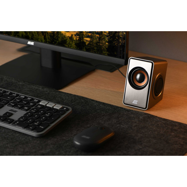 Компьютерные колонки 2E PCS204, 2.0, USB, Silver (2E-PCS204SV)