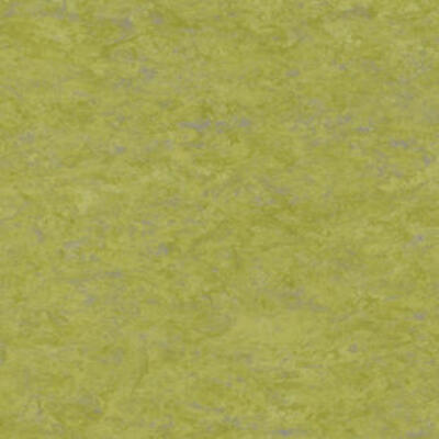 Натуральный линолеум Tarkett Veneto essenza ABSINTHE 695