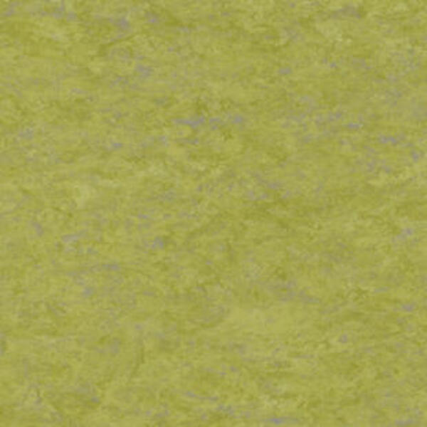 Натуральный линолеум Tarkett Veneto essenza ABSINTHE 695