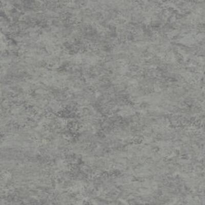 Натуральный линолеум Tarkett Veneto essenza ALUMINIUM 672