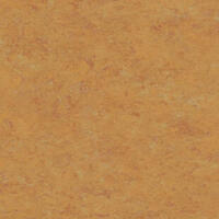 Натуральный линолеум Tarkett Veneto essenza AMBER 636