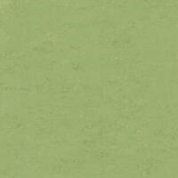 Натуральный линолеум Tarkett Veneto essenza APPLE GREEN 754