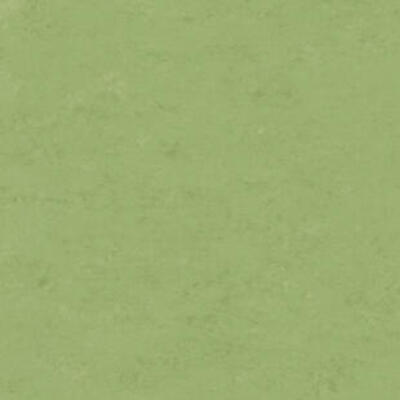 Натуральный линолеум Tarkett Veneto essenza APPLE GREEN 754