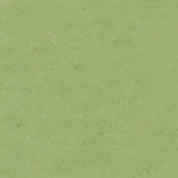 Натуральный линолеум Tarkett Veneto essenza APPLE GREEN 754