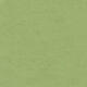 Натуральний лінолеум Tarkett Veneto essenza APPLE GREEN 754