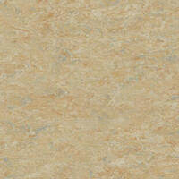 Натуральный линолеум Tarkett Veneto essenza CAMEL 616