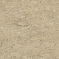 Натуральный линолеум Tarkett Veneto essenza ECRU 711