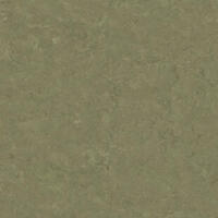 Натуральный линолеум Tarkett Veneto essenza KHAKI 757