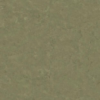 Натуральний лінолеум Tarkett Veneto essenza KHAKI 757