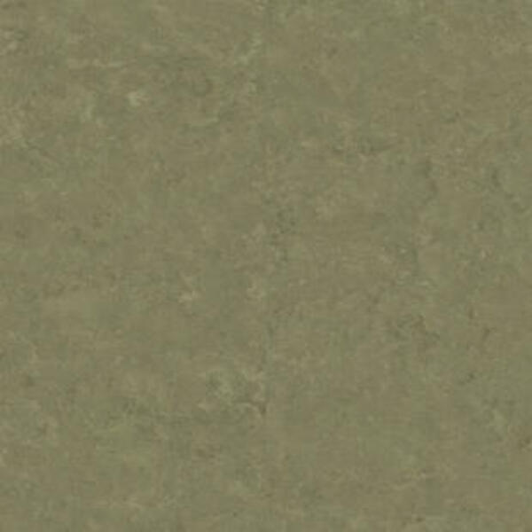 Натуральный линолеум Tarkett Veneto essenza KHAKI 757