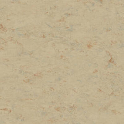 Натуральний лінолеум Tarkett Veneto essenza SISAL 611