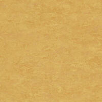 Натуральный линолеум Tarkett Veneto essenza SUNFLOWER 628