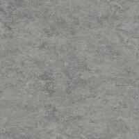 Натуральный линолеум Tarkett Veneto xf² ALUMINIUM 672