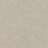 Натуральный линолеум Tarkett Veneto xf² BURLAP 911