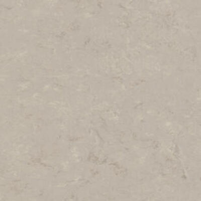 Натуральний лінолеум Tarkett Veneto xf² BURLAP 911