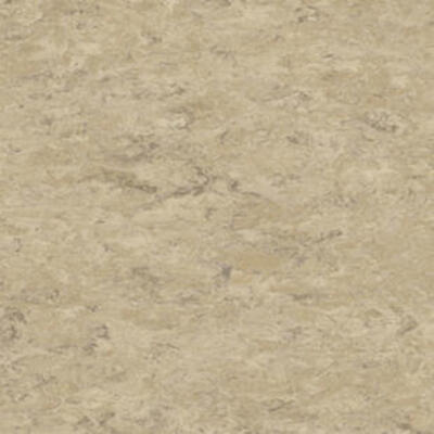 Натуральний лінолеум Tarkett Veneto xf² ECRU 711