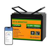 Акумуляторна батарея Eco-Worthy LiFePO4 12V 100Ah bluetooth