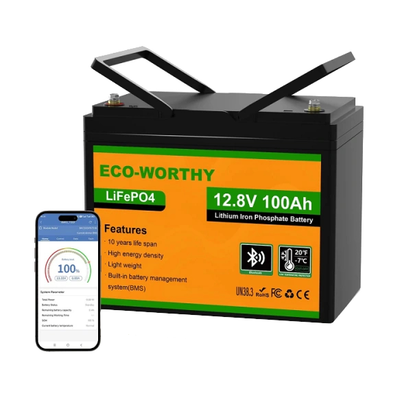 Акумуляторна батарея Eco-Worthy LiFePO4 12V 100Ah bluetooth