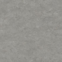 Натуральный линолеум Tarkett Veneto xf² FOG 703