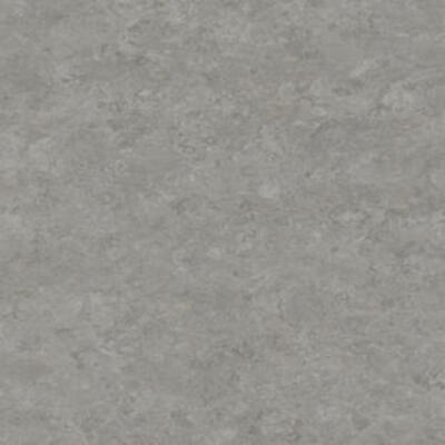 Натуральный линолеум Tarkett Veneto xf² FOG 703