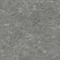 Натуральний лінолеум Tarkett Veneto xf² PEBBLE 604