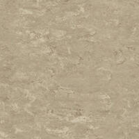 Натуральный линолеум Tarkett Veneto xf² SILK 625