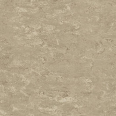 Натуральный линолеум Tarkett Veneto xf² SILK 625