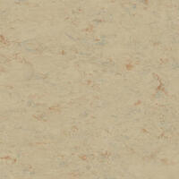 Натуральный линолеум Tarkett Veneto xf² SISAL 611