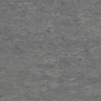 Натуральний лінолеум Tarkett Veneto xf² STEEL 673