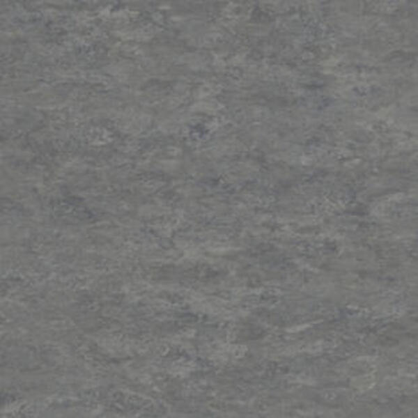 Натуральный линолеум Tarkett Veneto xf² STEEL 673