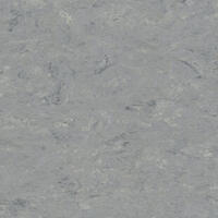 Натуральный линолеум Tarkett Veneto xf² ZINC 671