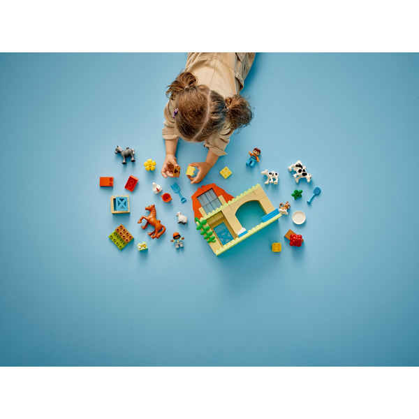 Конструктор LEGO DUPLO Town Догляд за тваринами на фермі 10416