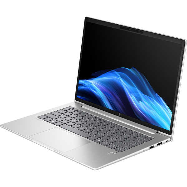 Ноутбук HP EliteBook 6 G1a 14 Pike Silver (AY4Z7AV_V11)