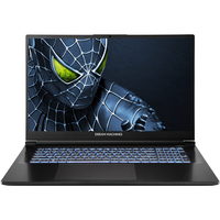 Ноутбук Dream Machines RG5050-17 (RG5050-17UA35)