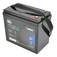 Акумуляторна батарея Merlion LiFePO4 12.8V 50AH
