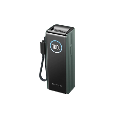 Зовнішній акумулятор (Power Bank) EcoFlow RAPID Power Bank з кабелями 25000mAh зелений
