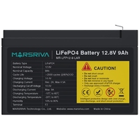 Акумуляторна батарея Marsriva MR-LFP12-9-LAR