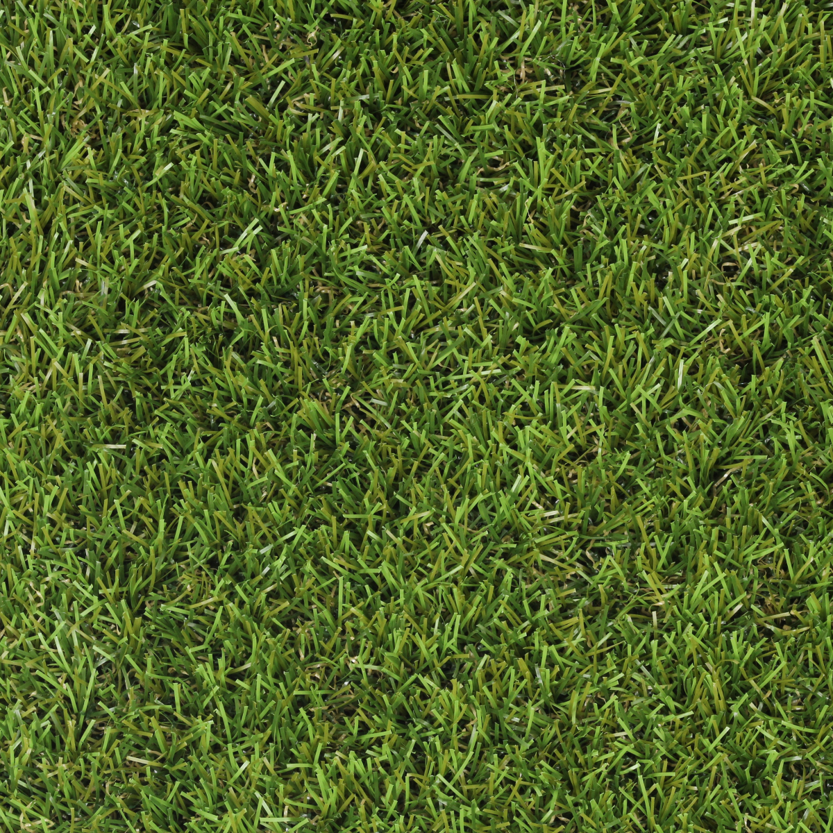 Декоративна трава CONGRAS TOSCANA/JAKARTA 20mm  4m Green