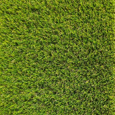 Декоративна трава PRETTIE GRASS MAGNOLIA 30