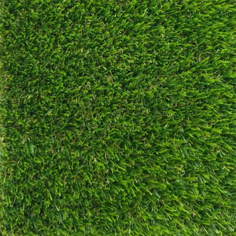 Декоративна трава PRETTIE GRASS GALICIA 30